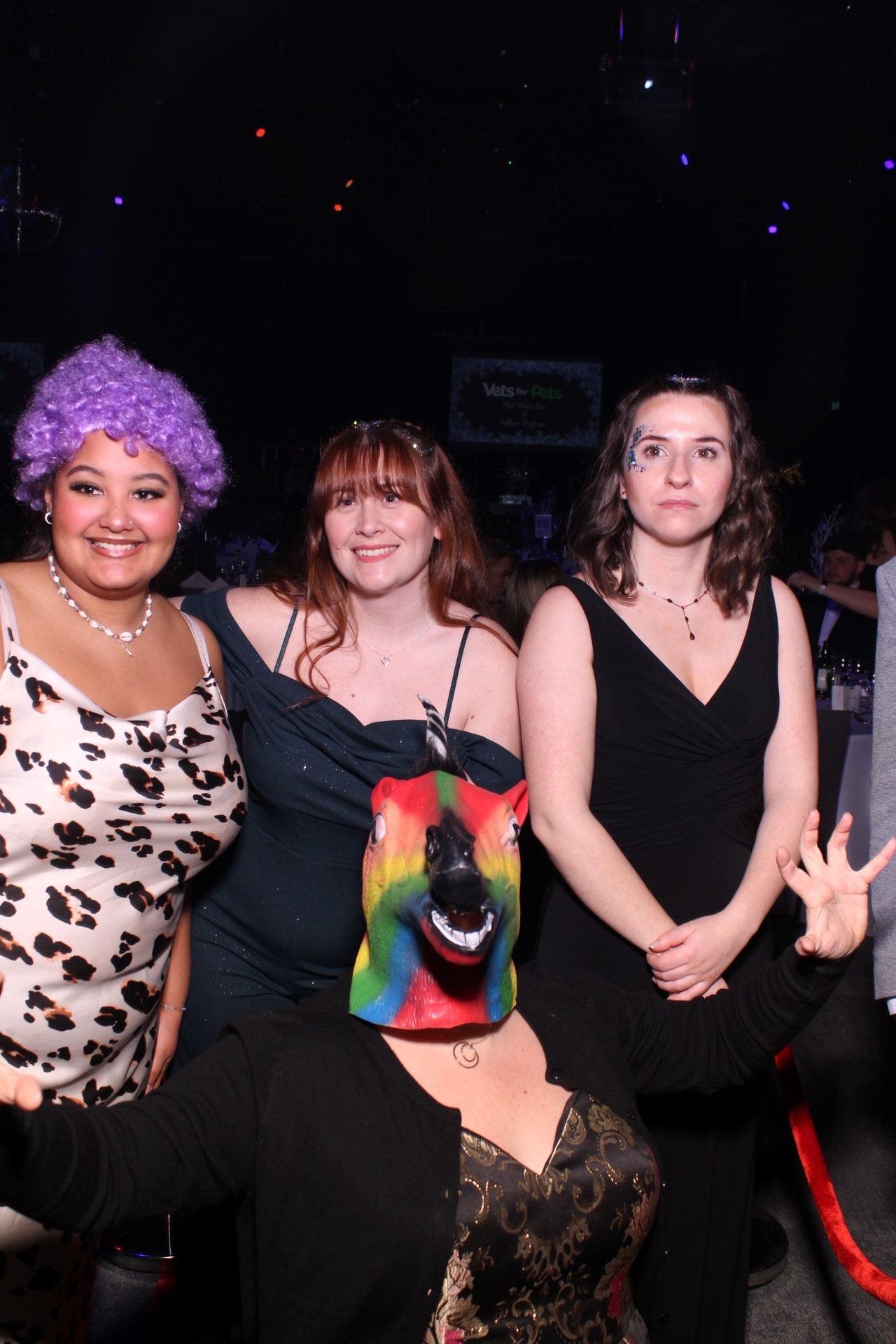 VetsForPets Mid Winter Ball — Corporate Event photo gallery